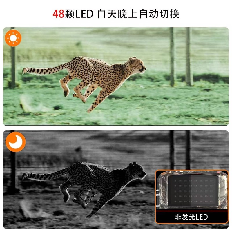 ГОРЯЧАЯ РАСПРОДАЖА DL001 Охотн – обзор и цена Outdoor Hunting Video Camera