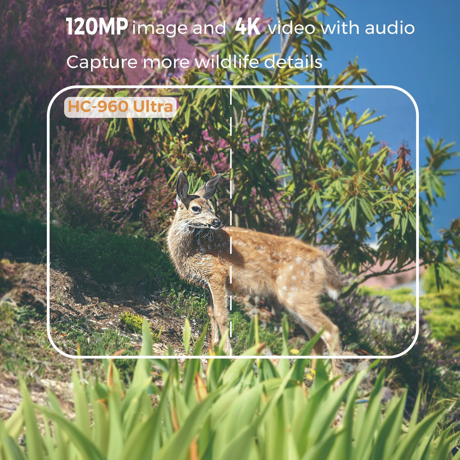 Уличное видео 4K, 120 МП, фото – обзор и цена Outdoor Hunting Video Camera