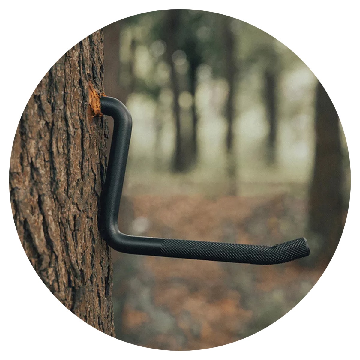 CS09 4-дюймовые вкручиваемые с – обзор и цена Tree Stand Ladder
