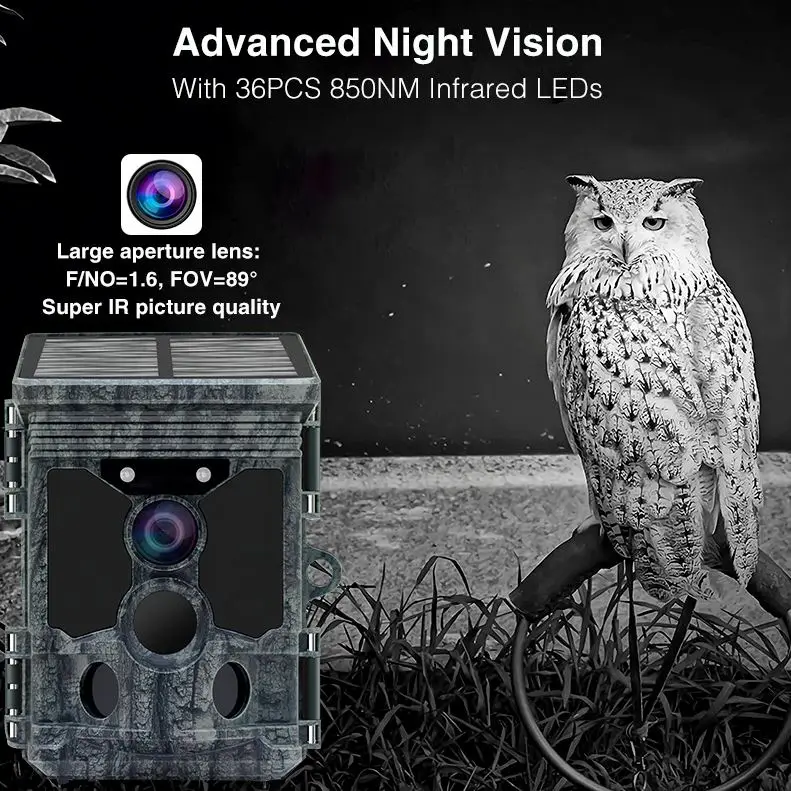 Новая технологичная 4K камера  – обзор и цена Outdoor Hunting Video Camera