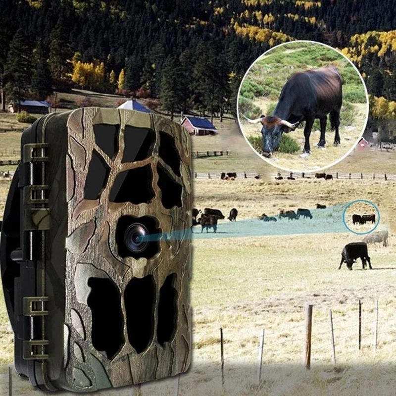 H982 IP66 Водонепроницаемая 4K – обзор и цена Outdoor Hunting Video Camera